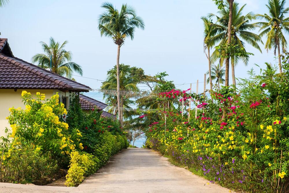  Camia Resort & Spa 23 