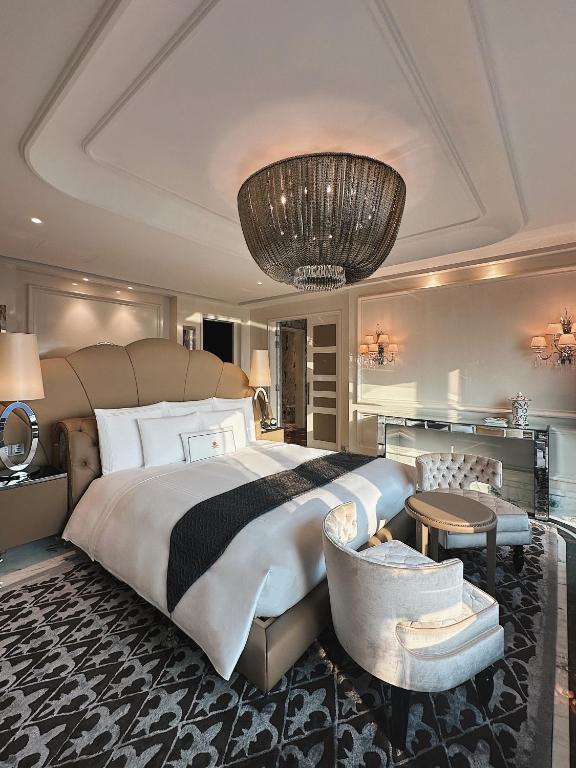  Designer Suite 6 