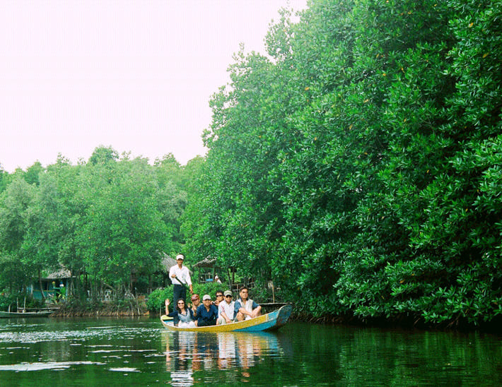 Tour Cần Giờ trong ngày: HCM - Rừng Sác - Đảo Khỉ