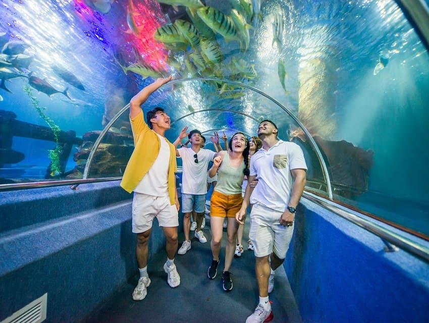 Tour Nha Trang | KDL Con Sẻ Tre | Tiệc Bar nổi | Vinwonders